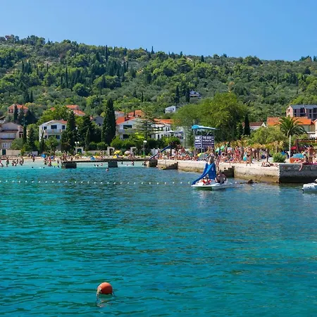 Kranjcec * 프레코